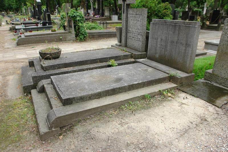 Zdjęcie grobu: August Pol