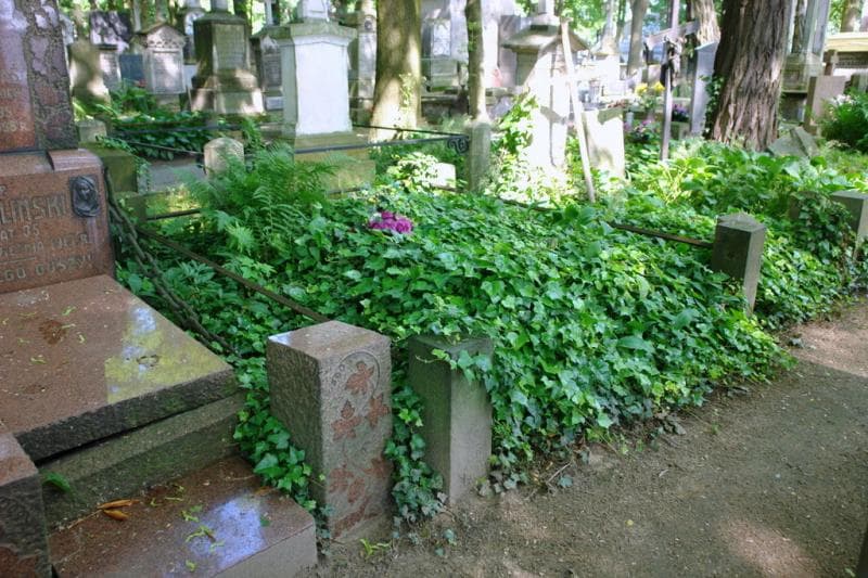 Zdjęcie grobu Schonwalderowie (2)