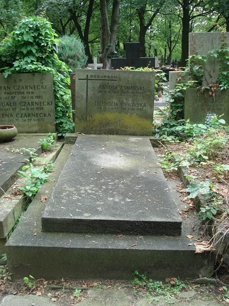 Zdjęcie grobu: Antoni Cywiński
