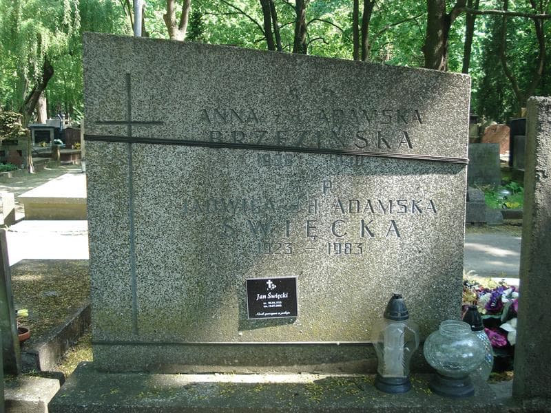 Zdjęcie grobu Anna Brzezińska (1)