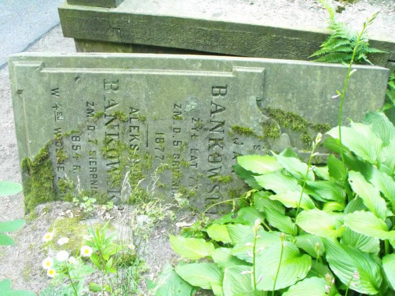 Zdjęcie grobu Aleksandra Bańkowska (2)