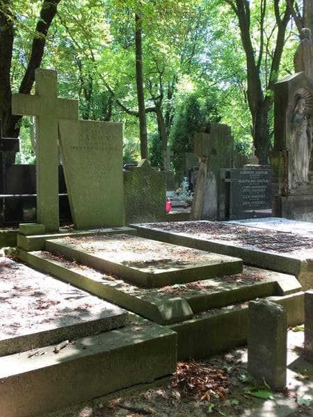 Zdjęcie grobu Wanda Lasoń (1)