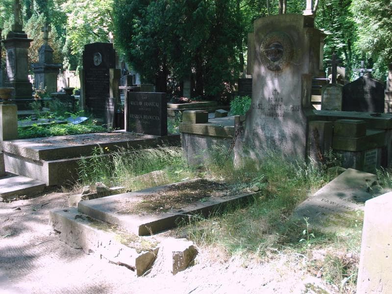 Zdjęcie grobu: Roland Oksza-Orzechowski