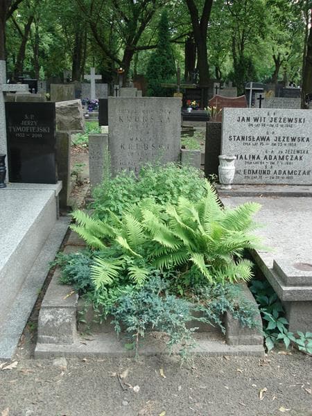 Zdjęcie grobu: Maria Utlińska