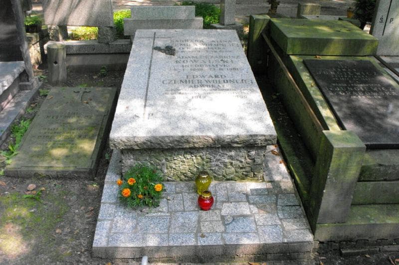 Zdjęcie grobu: Barbara Alina Czemier-Wołonciej