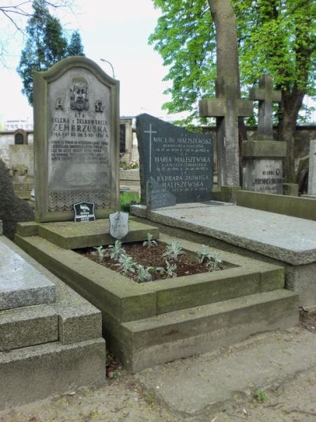Zdjęcie grobu Helena Zembrzuska (1)