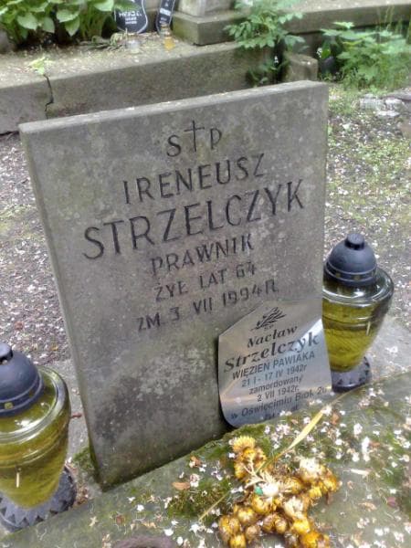 Zdjęcie grobu Wacław Strzelczyk (2)