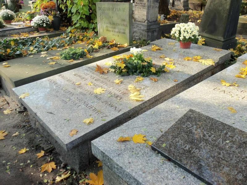 Zdjęcie grobu Ludwika Wyrzykowska (1)