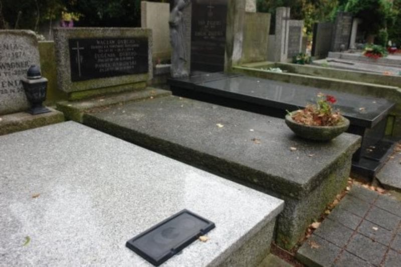 Zdjęcie grobu Wacław Dybcio (1)