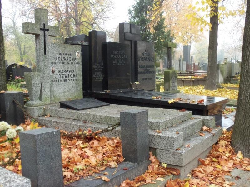 Zdjęcie grobu Aleksander Jóźwicki (1)