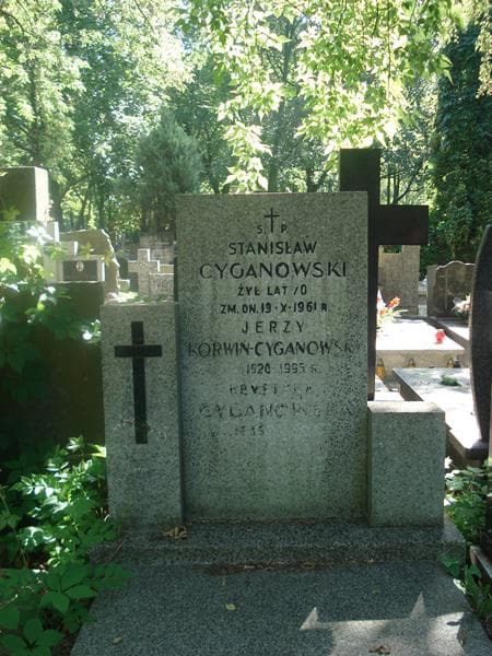 Zdjęcie grobu Stanisław Cyganowski (2)