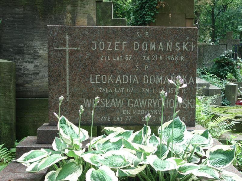 Zdjęcie grobu Józef Domański (2)