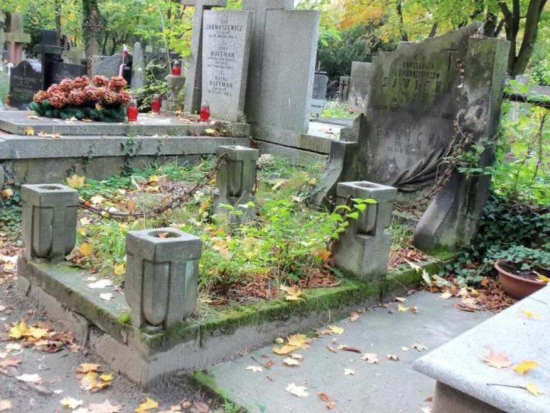 Zdjęcie grobu Józef Sawicki (1)
