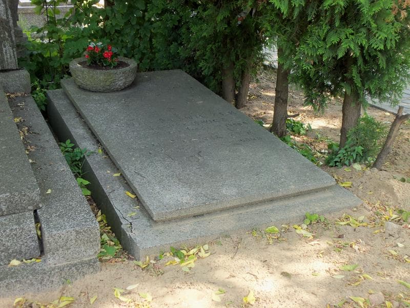 Zdjęcie grobu Anna Paśniczek (1)