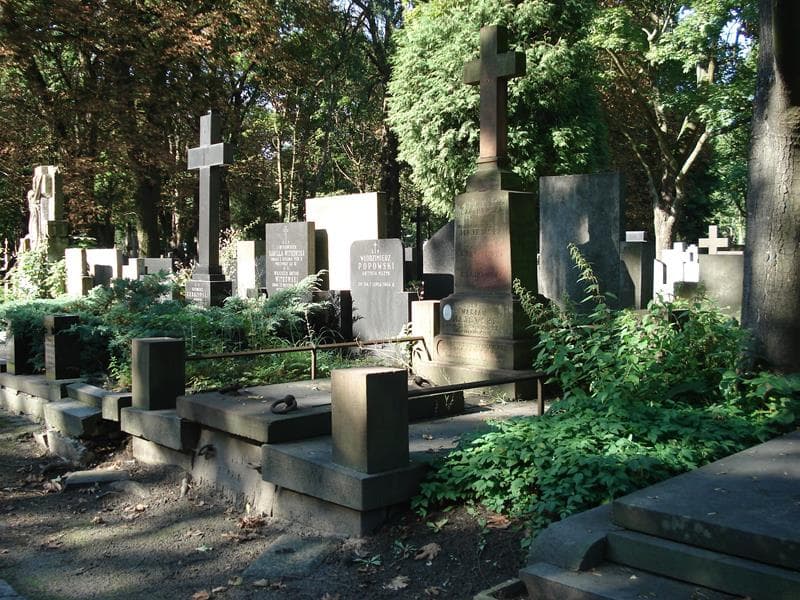 Zdjęcie grobu Aleksander Majewski (1)