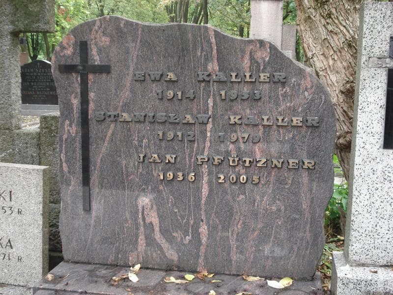 Zdjęcie grobu Jan Pfutzner (2)