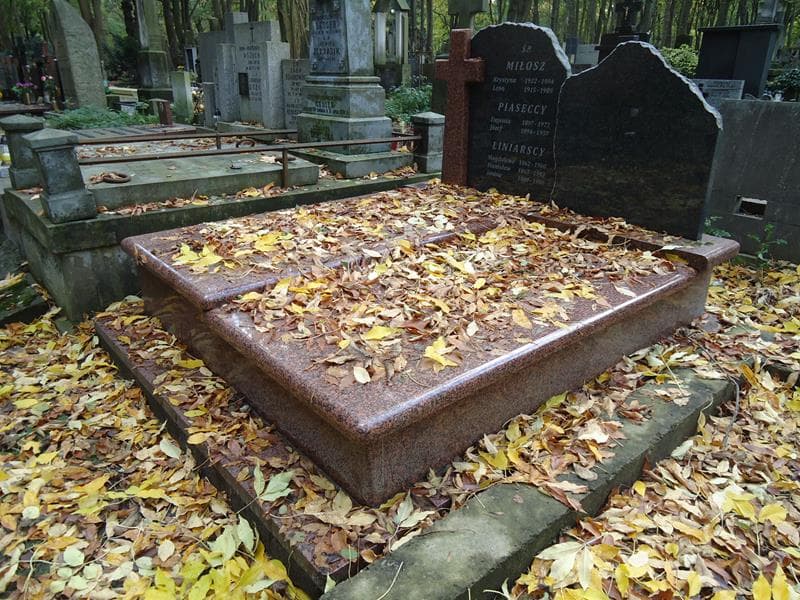 Zdjęcie grobu Eugenia Piasecka (1)