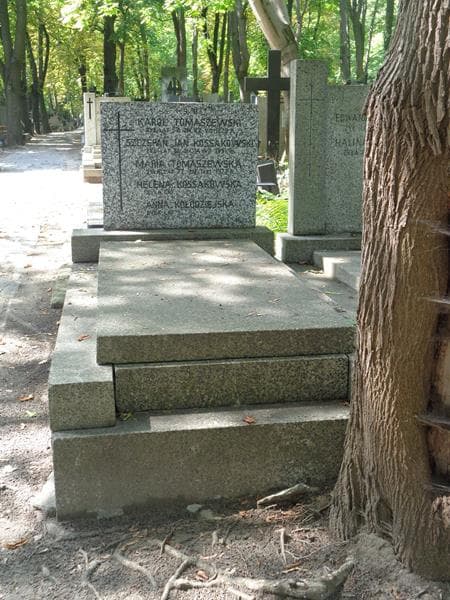 Zdjęcie grobu Karol Tomaszewski (1)