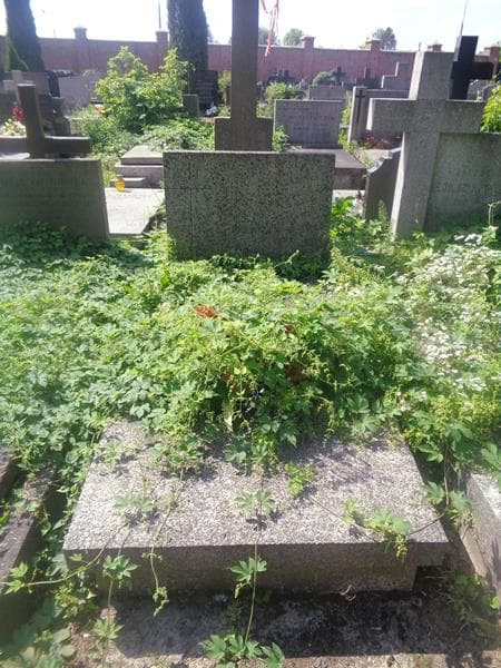 Zdjęcie grobu Maria Urbanowicz (1)