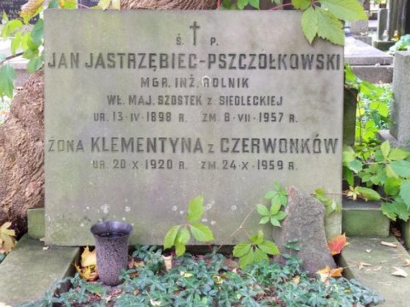 Zdjęcie grobu Jan Jastrzębiec-Pszczółkowski (2)