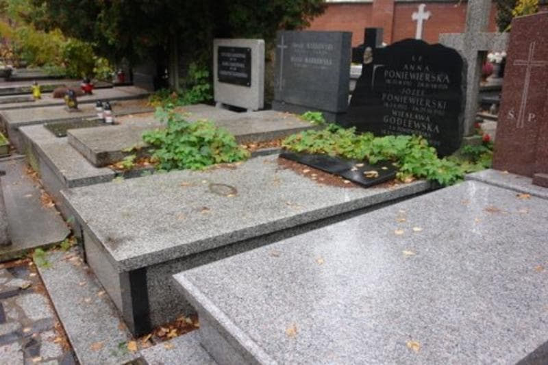 Zdjęcie grobu Marek Marszałek (1)