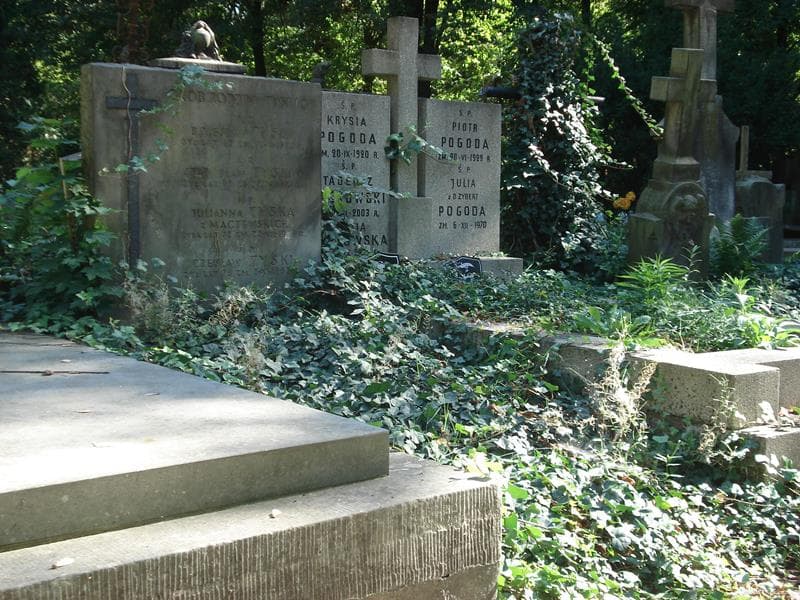 Zdjęcie grobu Stanisław Tyski (1)