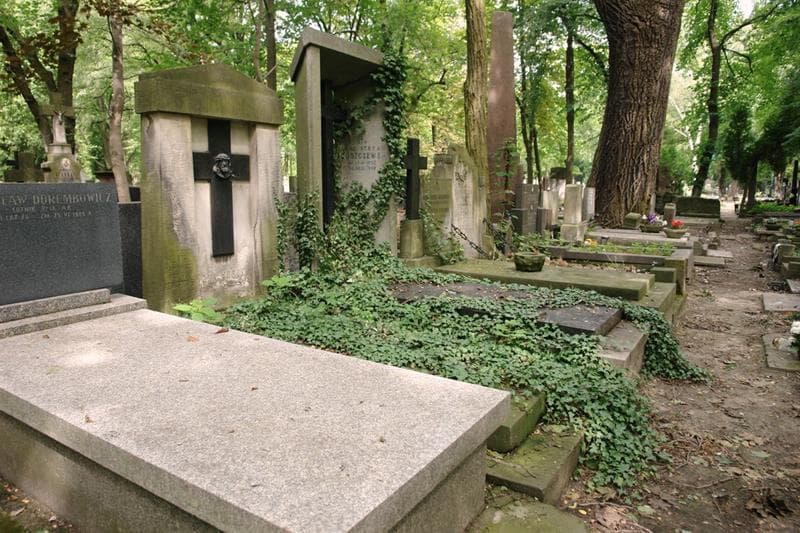 Zdjęcie grobu: Bronisław Lewandowski