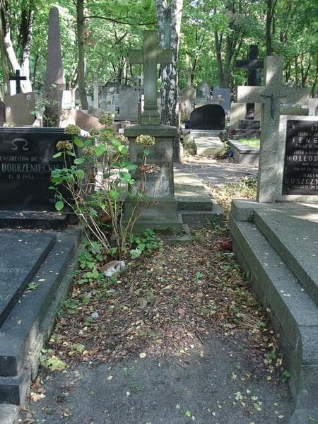 Zdjęcie grobu Franciszek Turkowski (1)