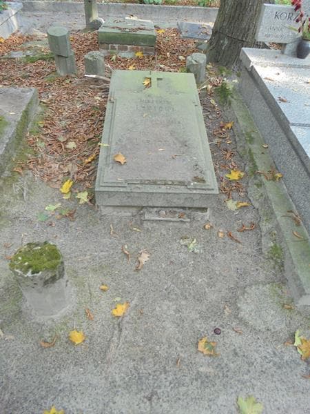 Zdjęcie grobu Wincenty Libicki (1)