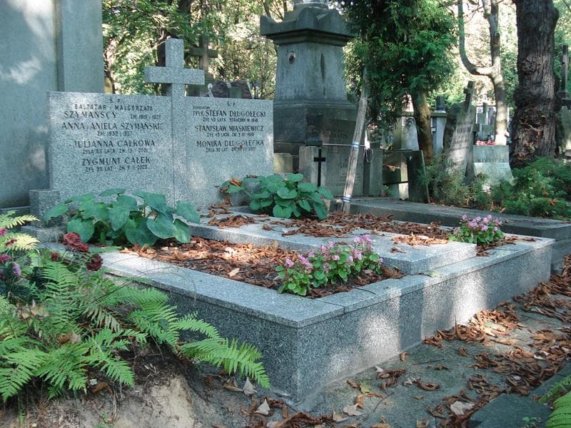 Zdjęcie grobu Stefan Długołęcki (1)