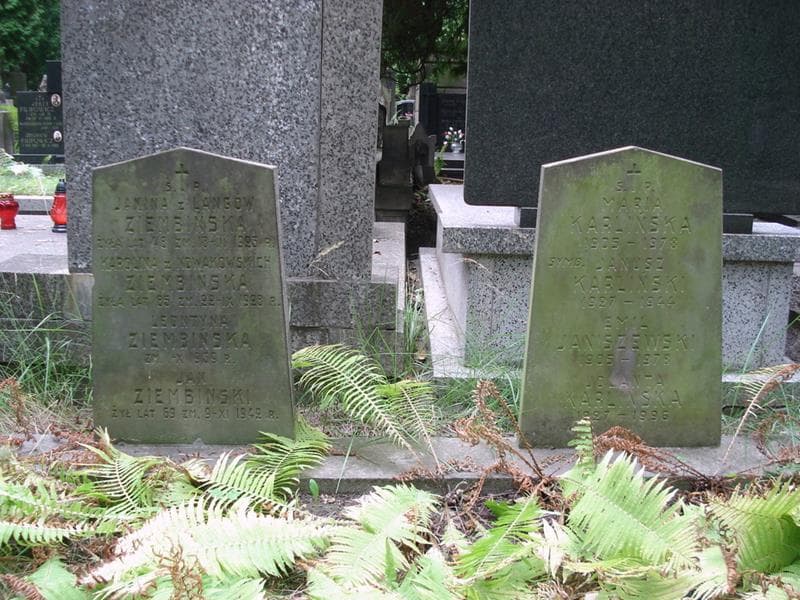 Zdjęcie grobu Emil Janiszewski (2)