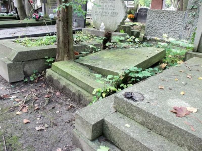 Zdjęcie grobu Aleksandra Leśniewska (1)