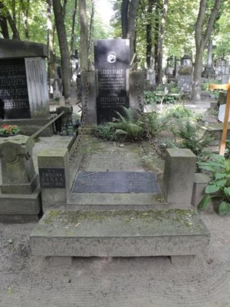 Zdjęcie grobu: Stefan Krzyżanowski