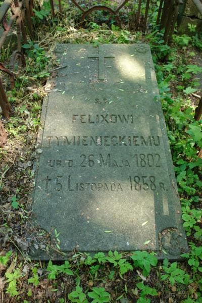 Zdjęcie grobu Felix Tymieniecki (2)