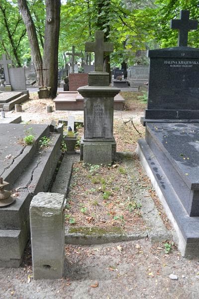 Zdjęcie grobu Stanisława Goszczyńska (1)