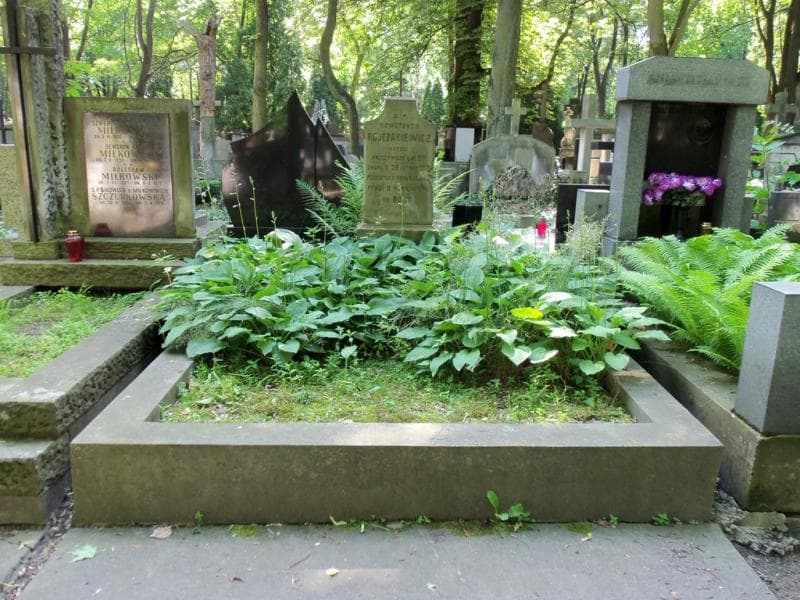 Zdjęcie grobu: Franciszka Benit