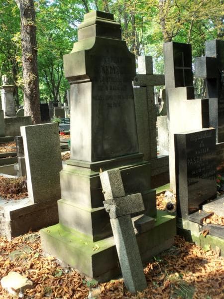 Zdjęcie grobu Helena Sewerynowa (2)