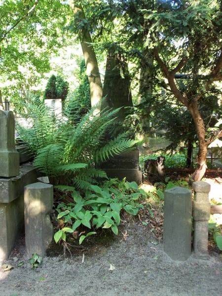 Zdjęcie grobu: Kazimierz Olszanowski