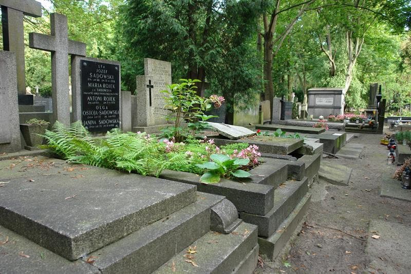 Zdjęcie grobu Olga Ostoja-Sadowska (1)