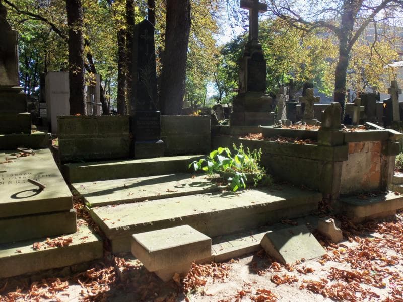 Zdjęcie grobu Janusz Stanisław Masłowski (1)