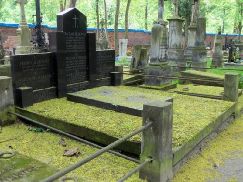Zdjęcie grobu Wszesław Jezierski (1)