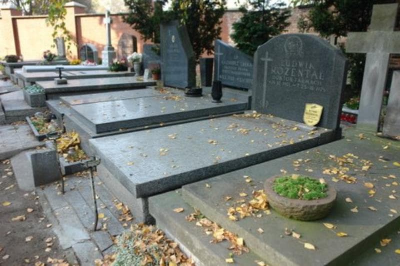 Zdjęcie grobu Ludwik Rozental (1)