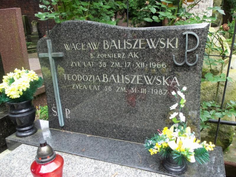 Zdjęcie grobu Wacław Baliszewski (2)