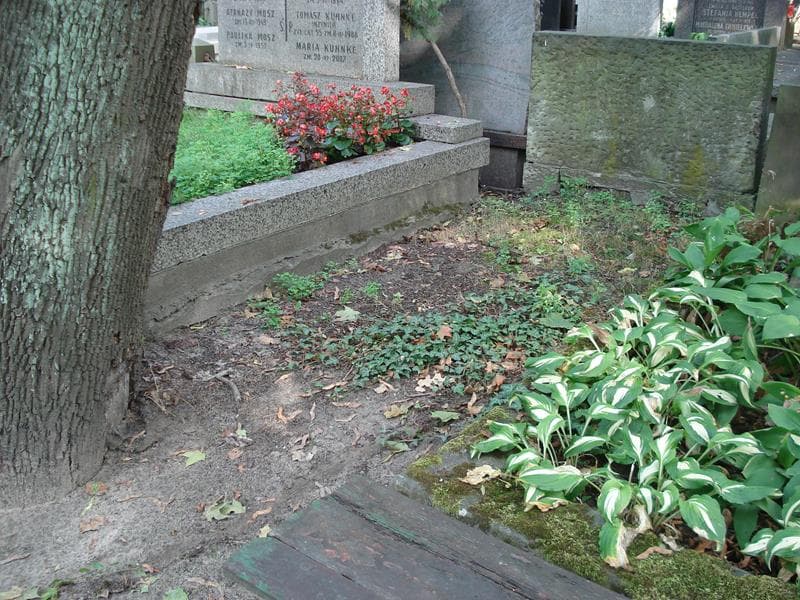 Zdjęcie grobu Pole Grobowe (1)