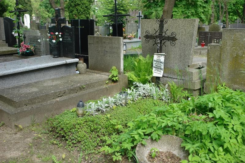 Zdjęcie grobu Leon Narkiewicz (1)