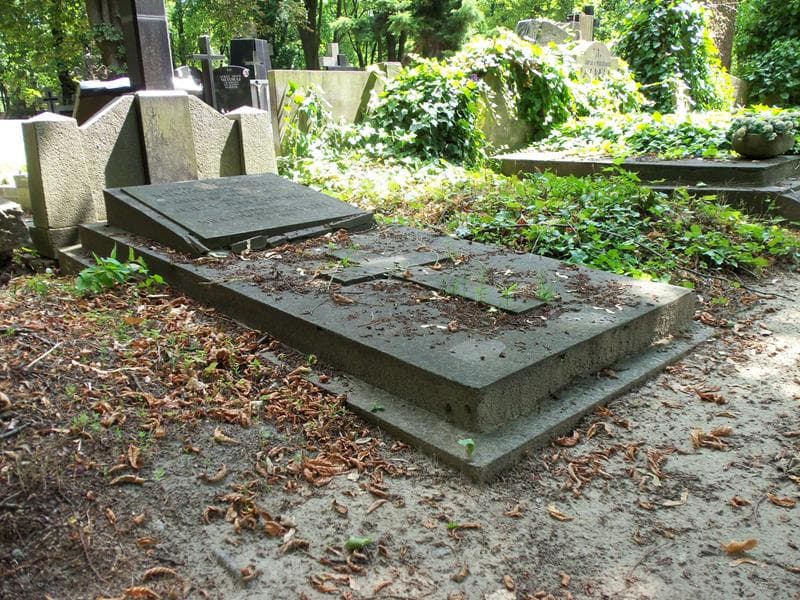Zdjęcie grobu Stanisław Daszkiewicz (1)