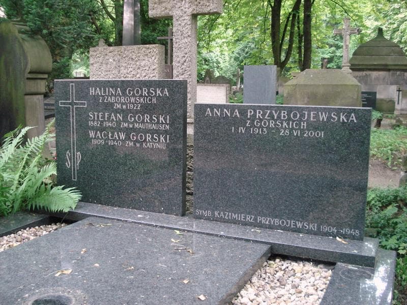 Zdjęcie grobu Stefan Gorski (2)