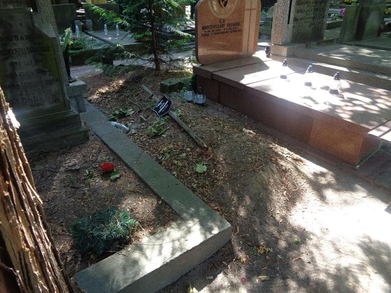 Zdjęcie grobu: Bolesław Leśniewski