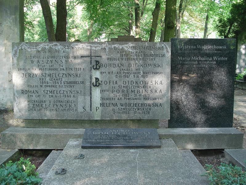 Zdjęcie grobu Alfred Wróblewski (2)