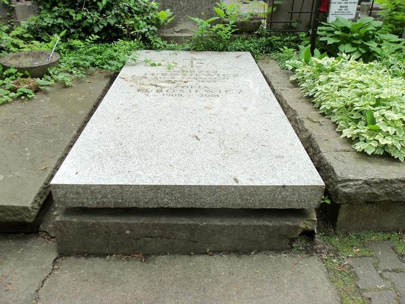 Zdjęcie grobu: Andrzej Lubosiewicz